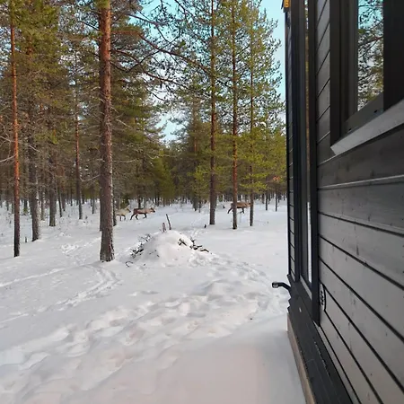 Fell Village 7 With A Mountain View, Fireplace, Sauna, Kitchen Tatil Evi